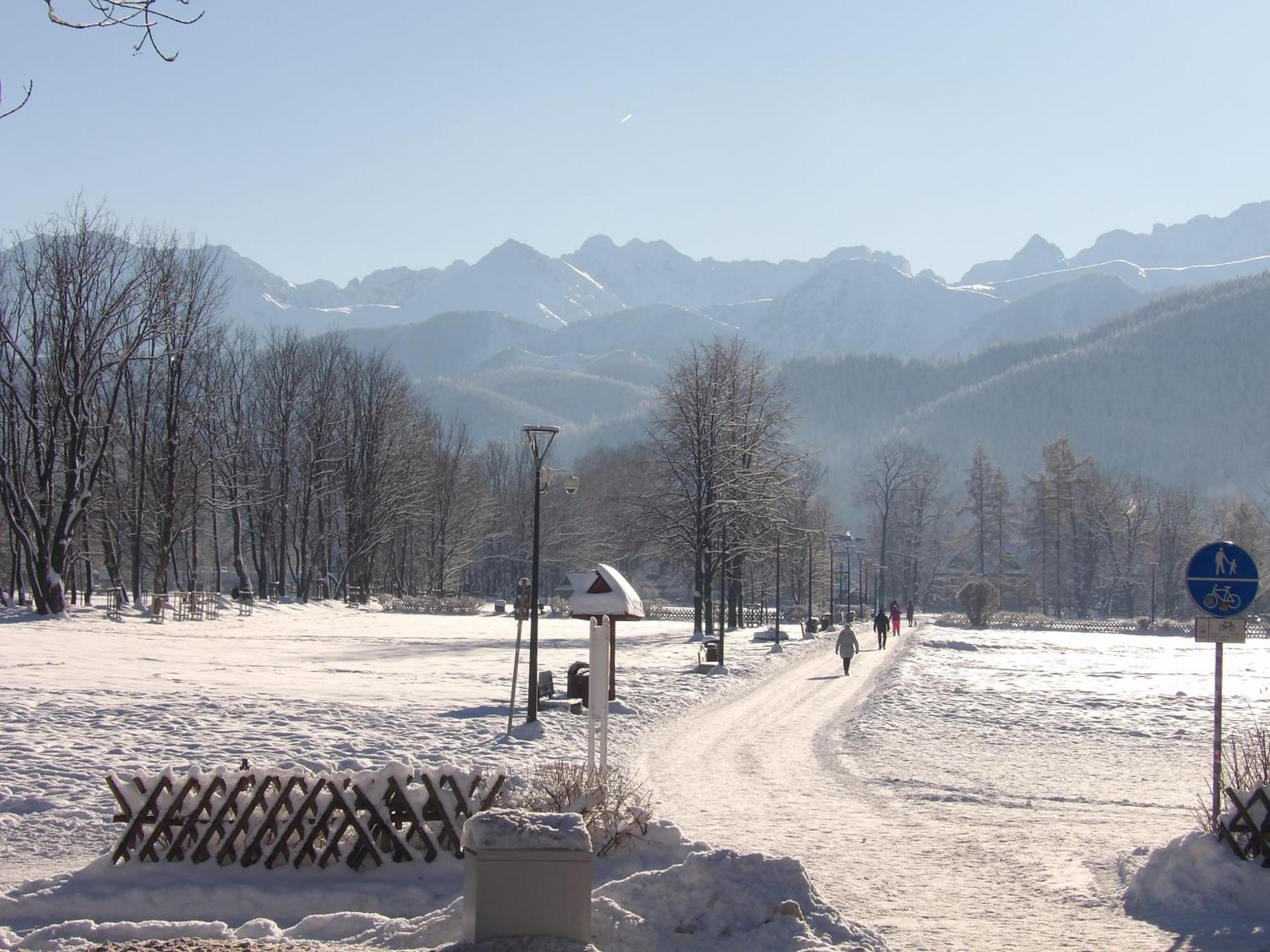 Dworek Na Rowni Zakopane Exteriér fotografie