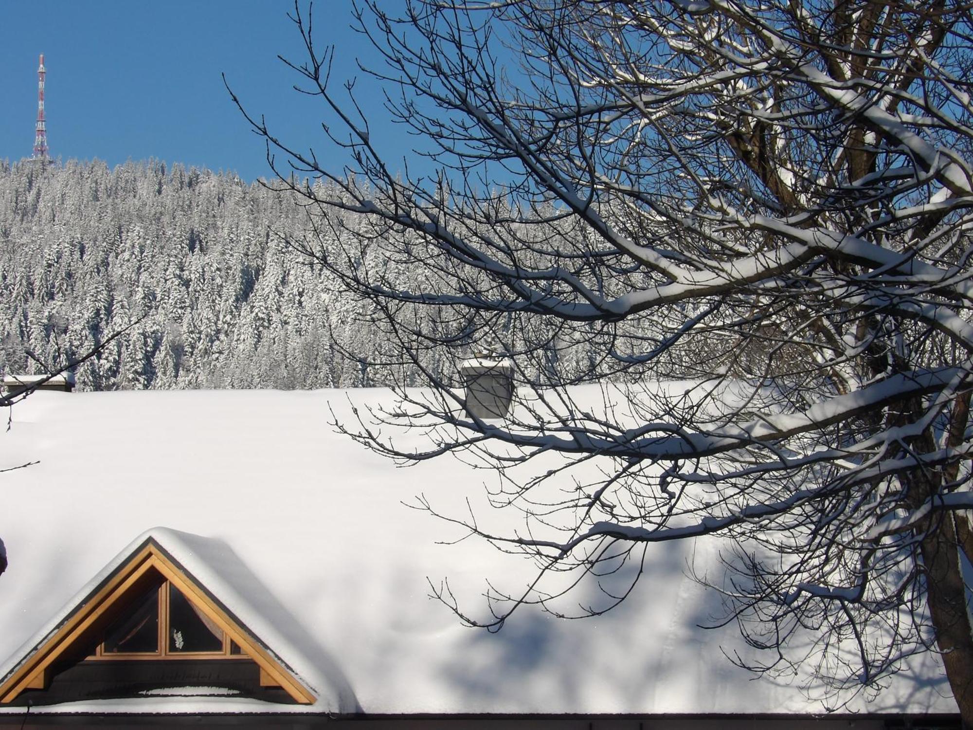 Dworek Na Rowni Zakopane Exteriér fotografie