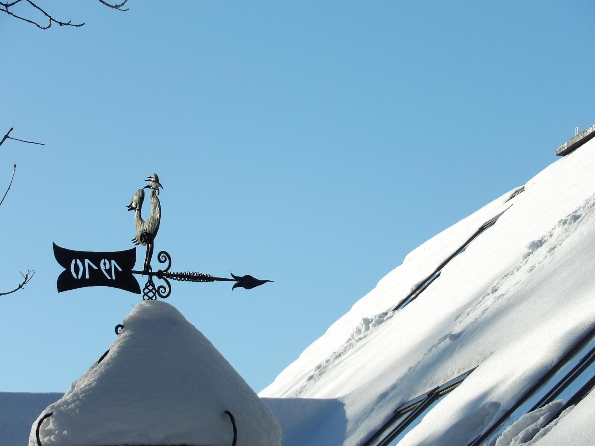 Dworek Na Rowni Zakopane Exteriér fotografie