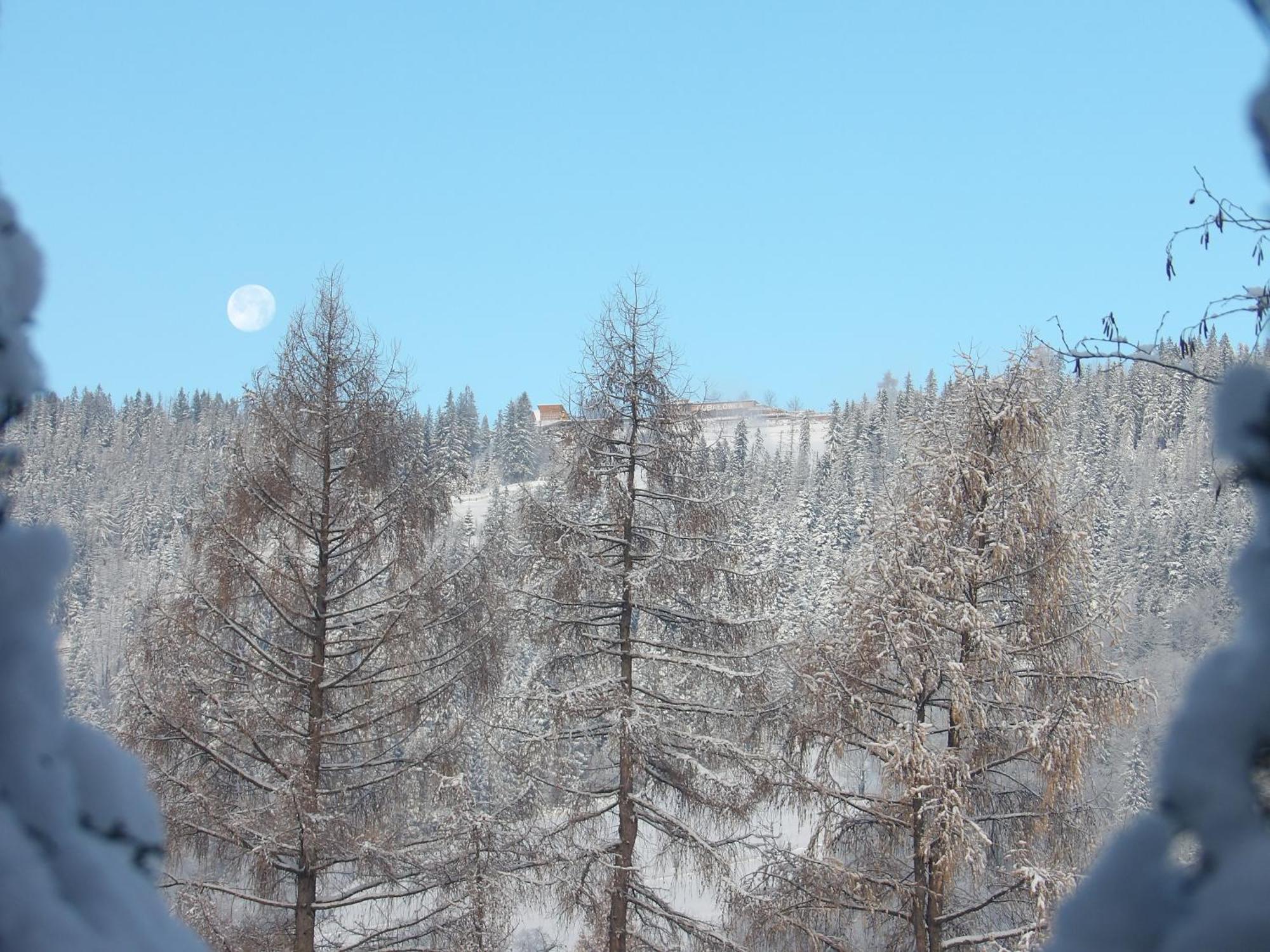 Dworek Na Rowni Zakopane Exteriér fotografie