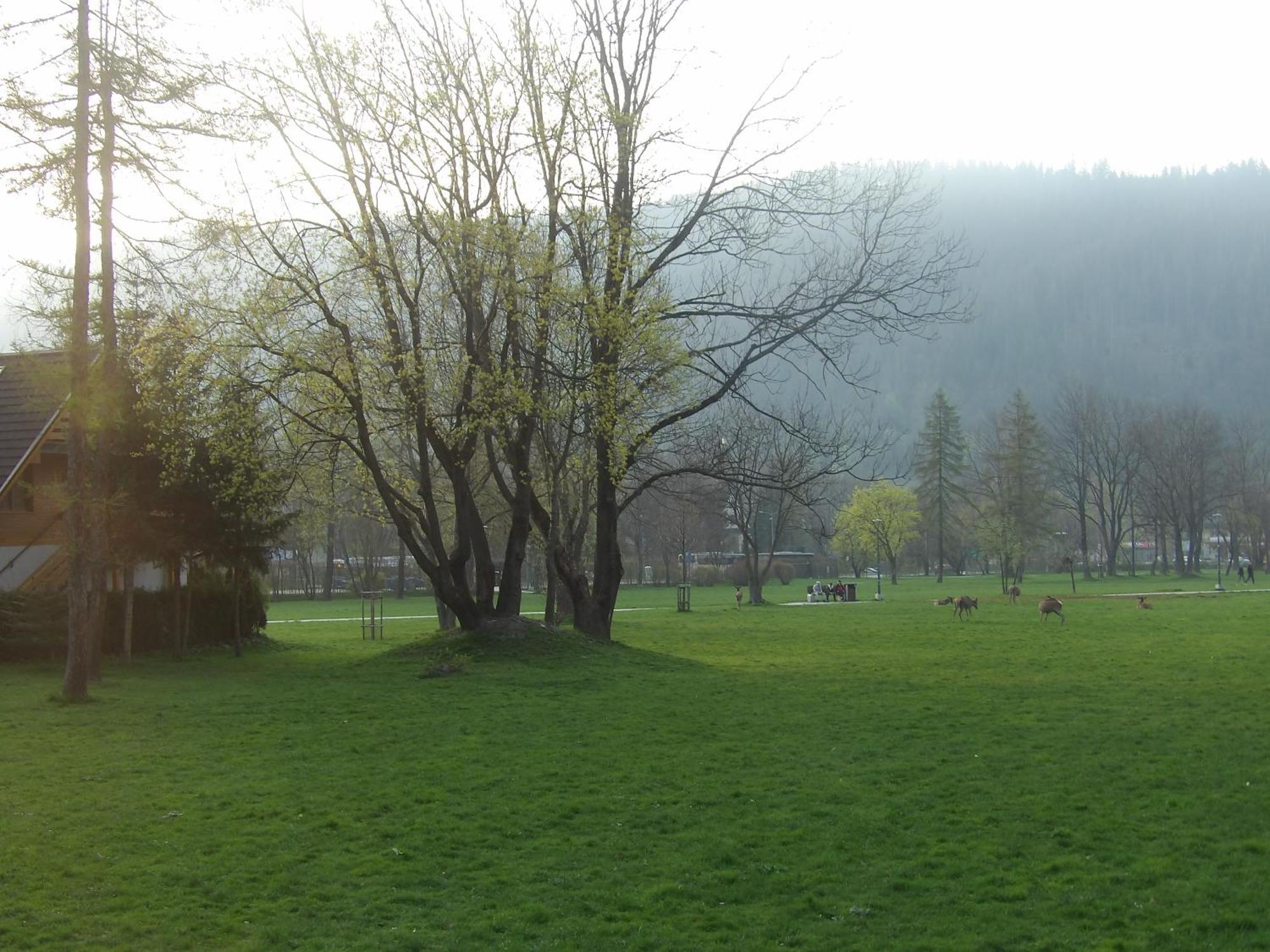 Dworek Na Rowni Zakopane Exteriér fotografie