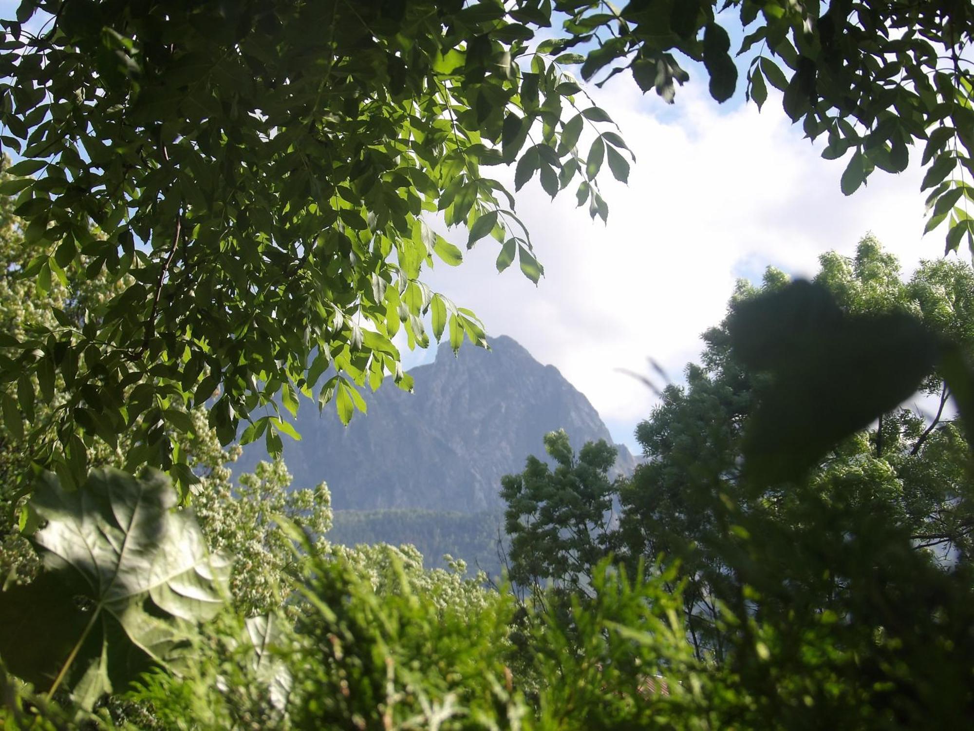 Dworek Na Rowni Zakopane Exteriér fotografie