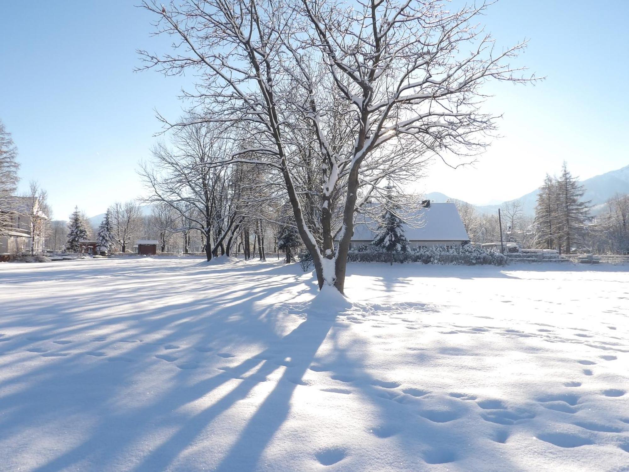 Dworek Na Rowni Zakopane Exteriér fotografie